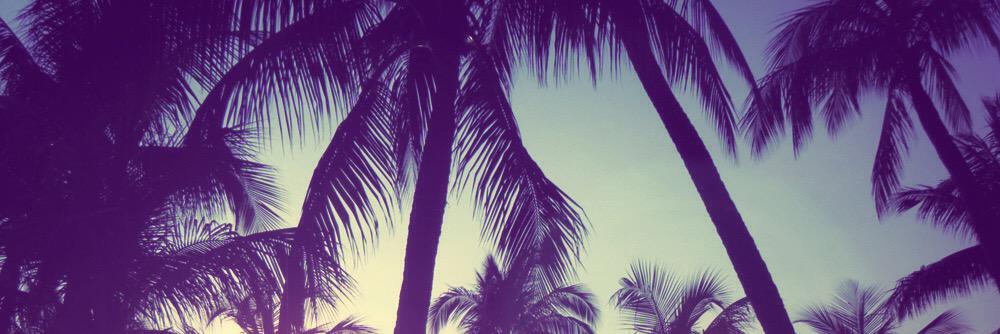 HighStandardsTx's profile banner image