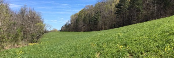 DailyBreath Profile Banner