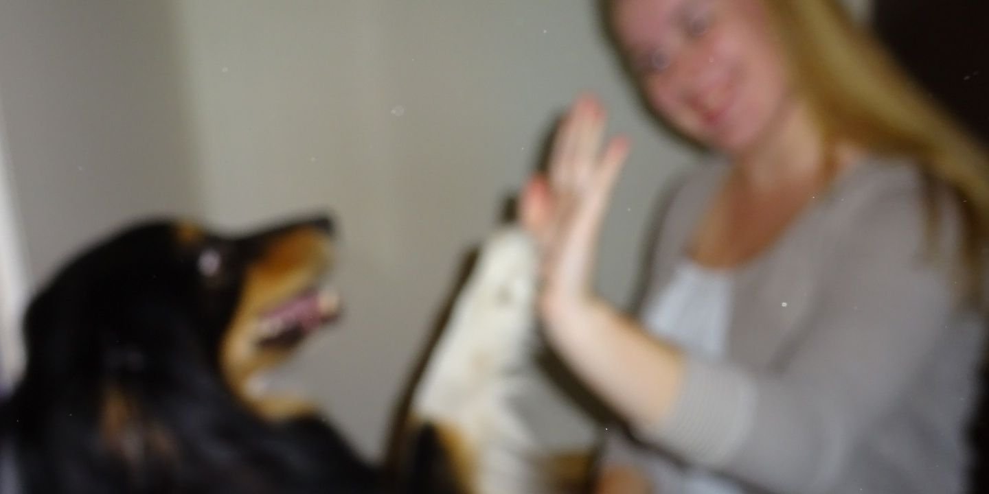 xjelskevans's profile banner image