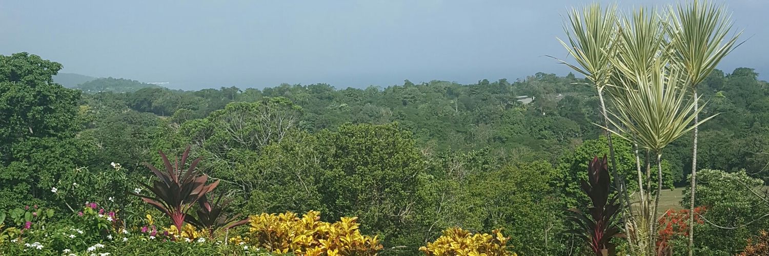 neecytweets's profile banner image