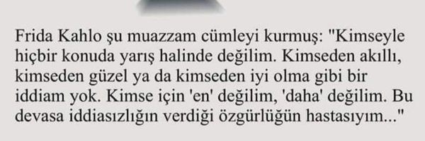 tulinn_koru Profile Banner