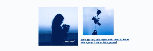 ljamshevrt's profile banner image