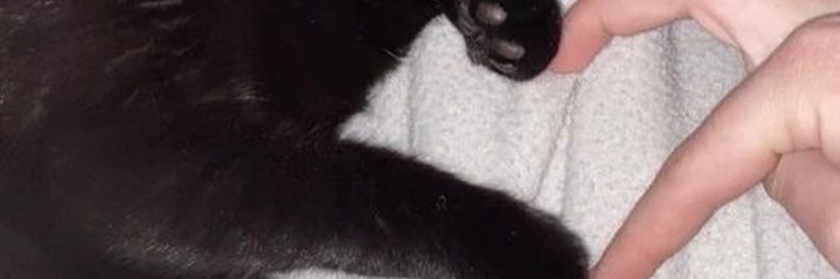 luukethomas's profile banner image