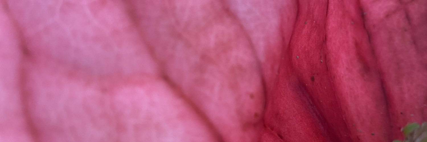 mkmenzinger's profile banner image
