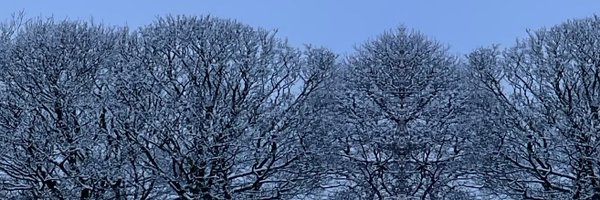 HB_photo0106 Profile Banner