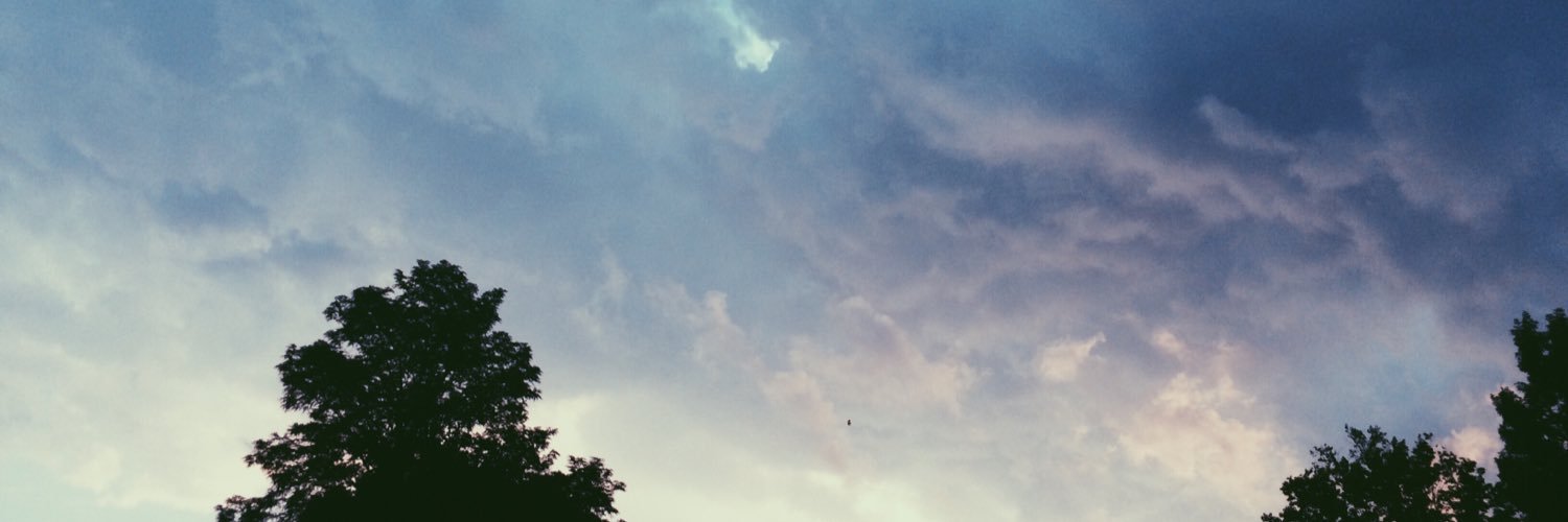 EvaLarch's profile banner image
