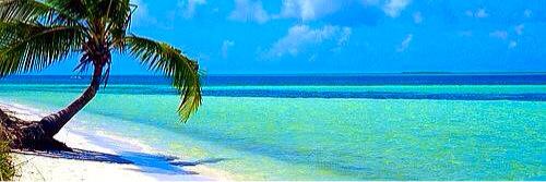 HeatherTaylor21's profile banner image