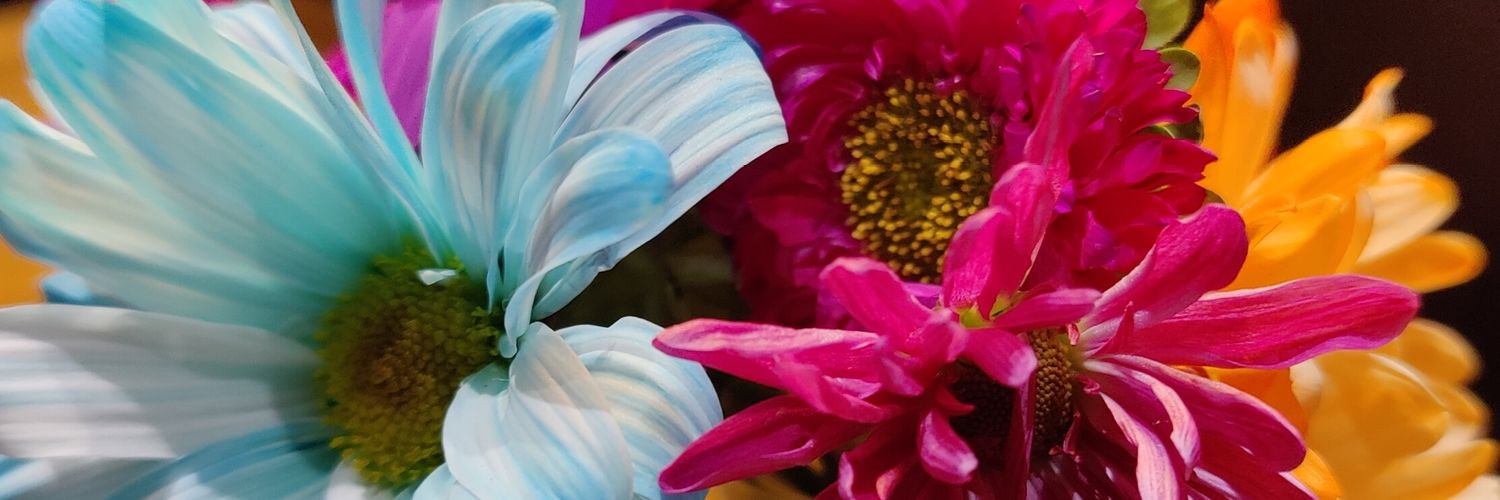 QueenofManyHats's profile banner image