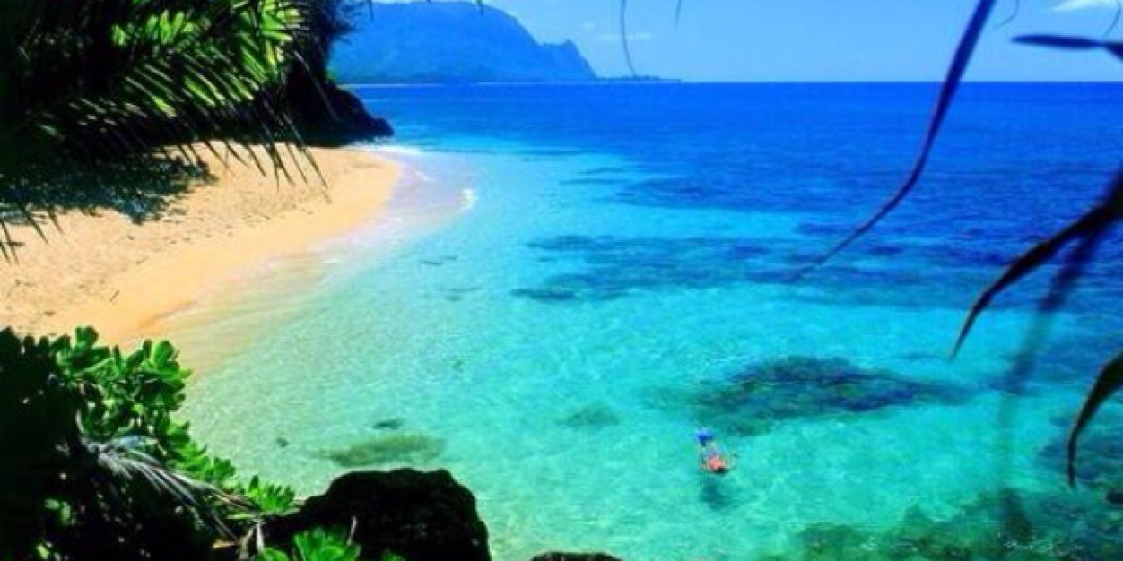 Chase Richards banner