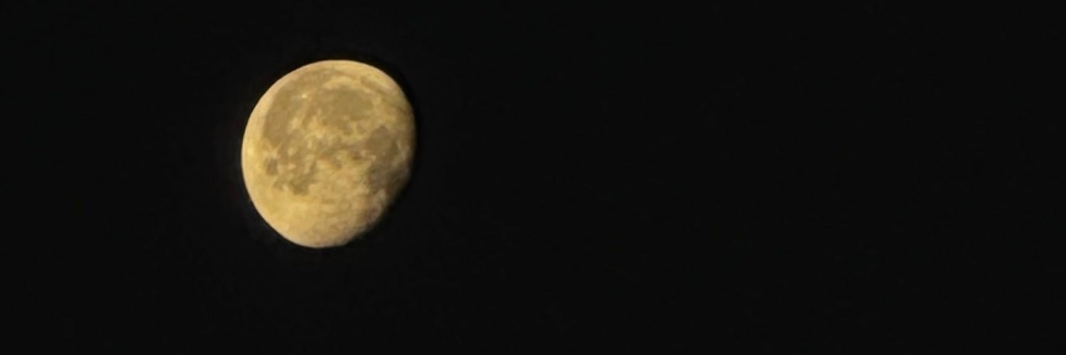 𝚂𝙾𝙿𝙷𝙸𝙰 banner