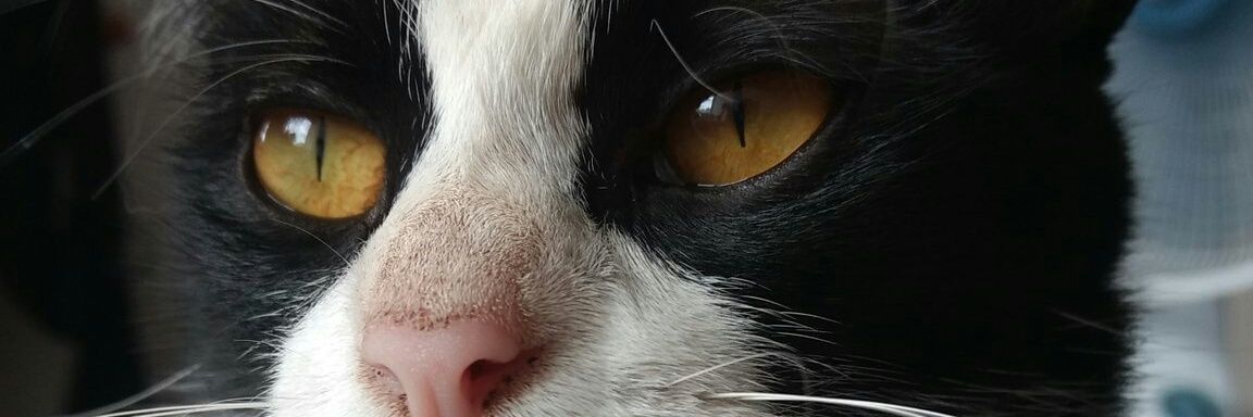 loucasss_'s profile banner image