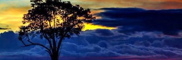 NESTOR_SMARTBOY Profile Banner