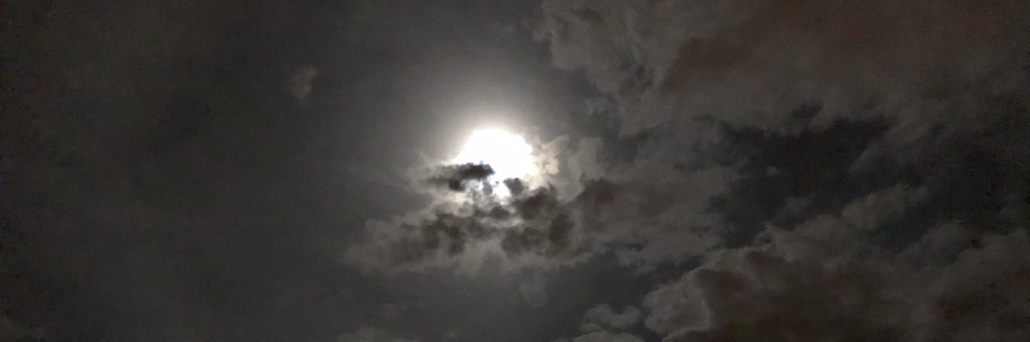 mflorespazos's profile banner image