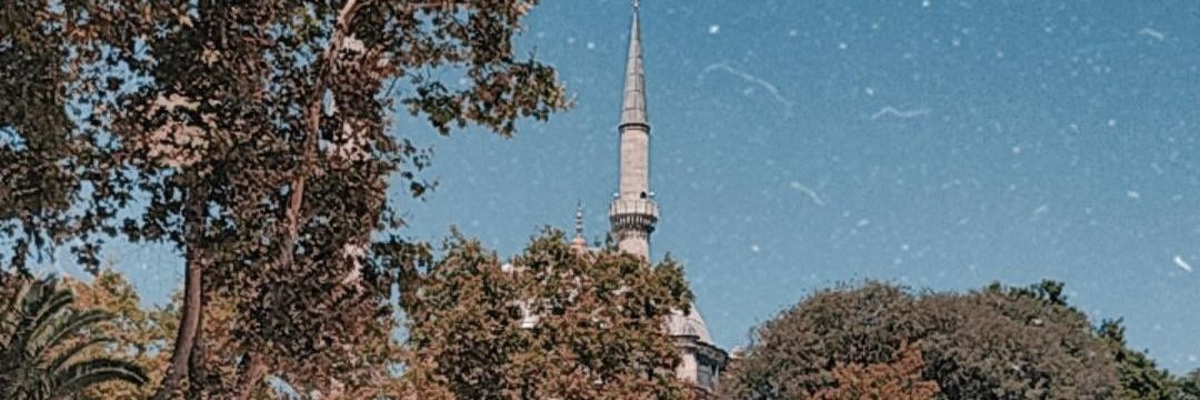 mathanimm's profile banner image