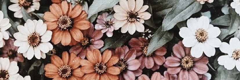 colleen_langan's profile banner image