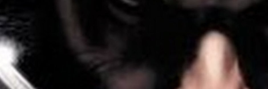 James Logan banner