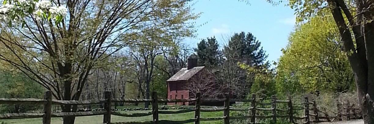 NurseHomestead's profile banner image