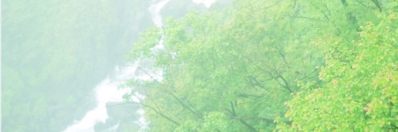 HummingTapir's profile banner image