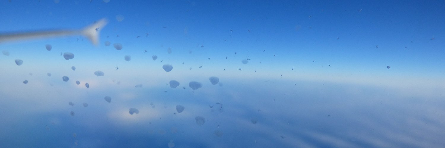 Oriol Balmaña banner