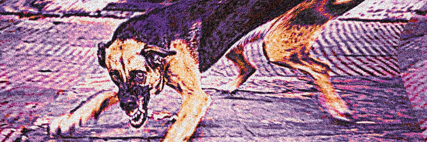 Chien Enragé des Abysses banner