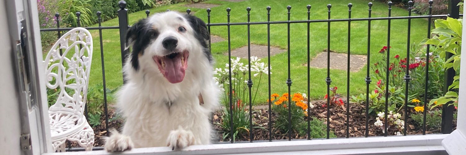 💙 Ali Hay 💙 banner