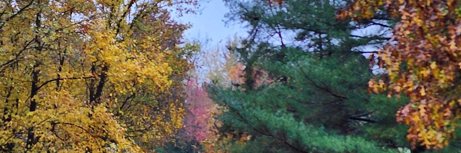 1creativemama's profile banner image