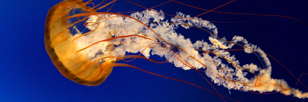 LOnLyAbBy's profile banner image