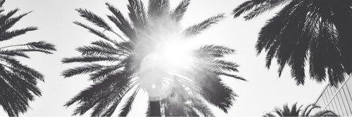 Fabzzouz's profile banner image