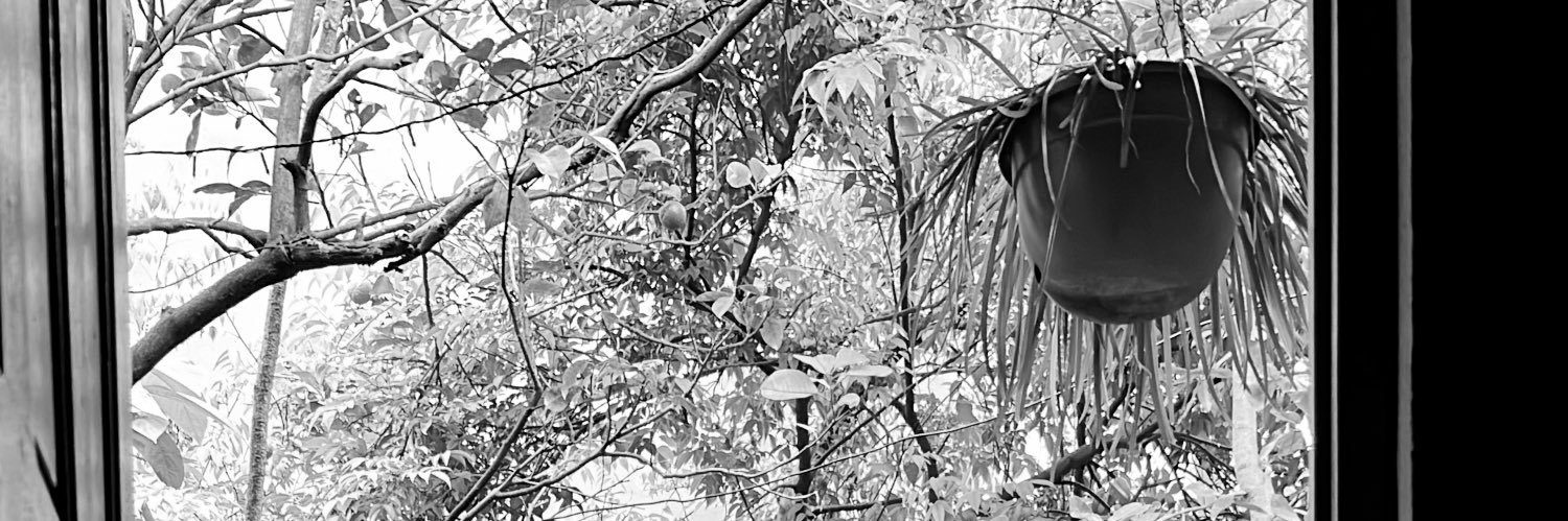 SoloCelia's profile banner image