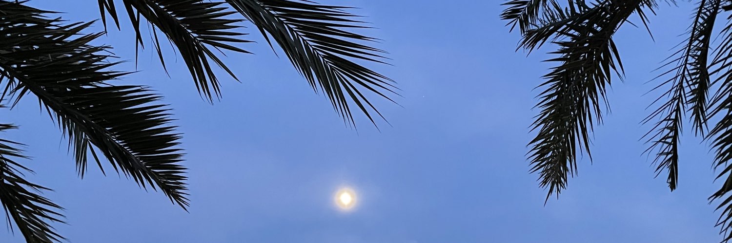 kaiaadl's profile banner image