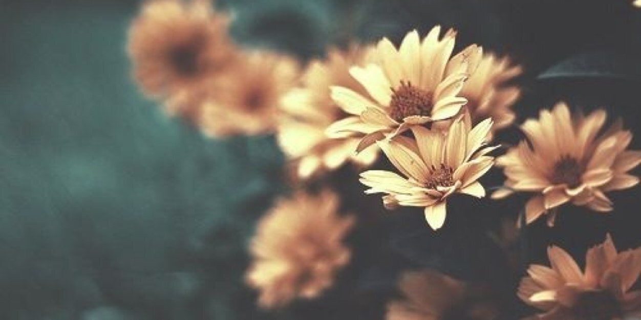 Am0_0r's profile banner image