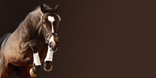 MissNazmiye's profile banner image