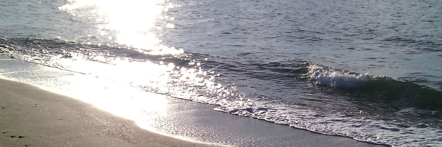 TeresarRojas's profile banner image