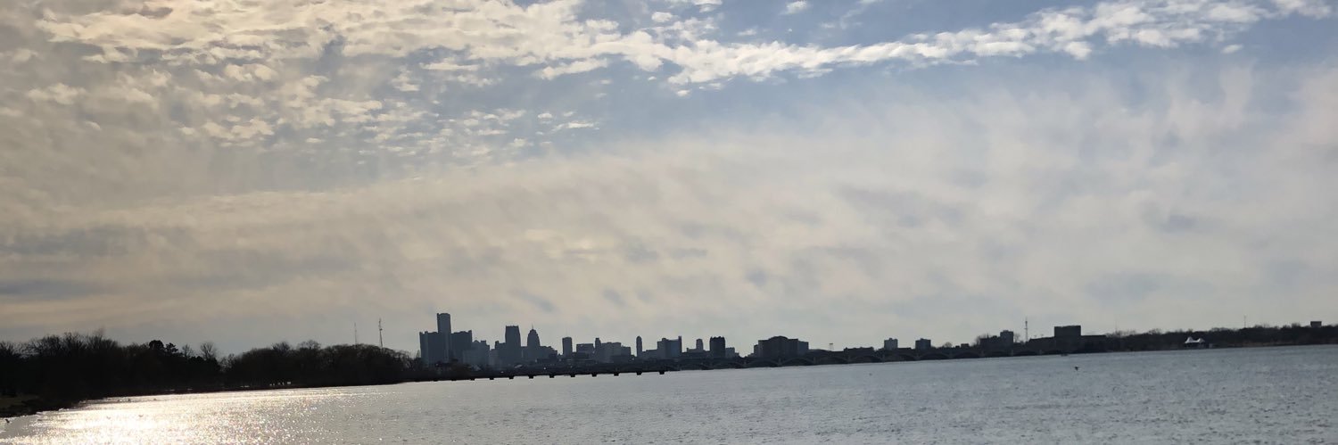 lclily's profile banner image