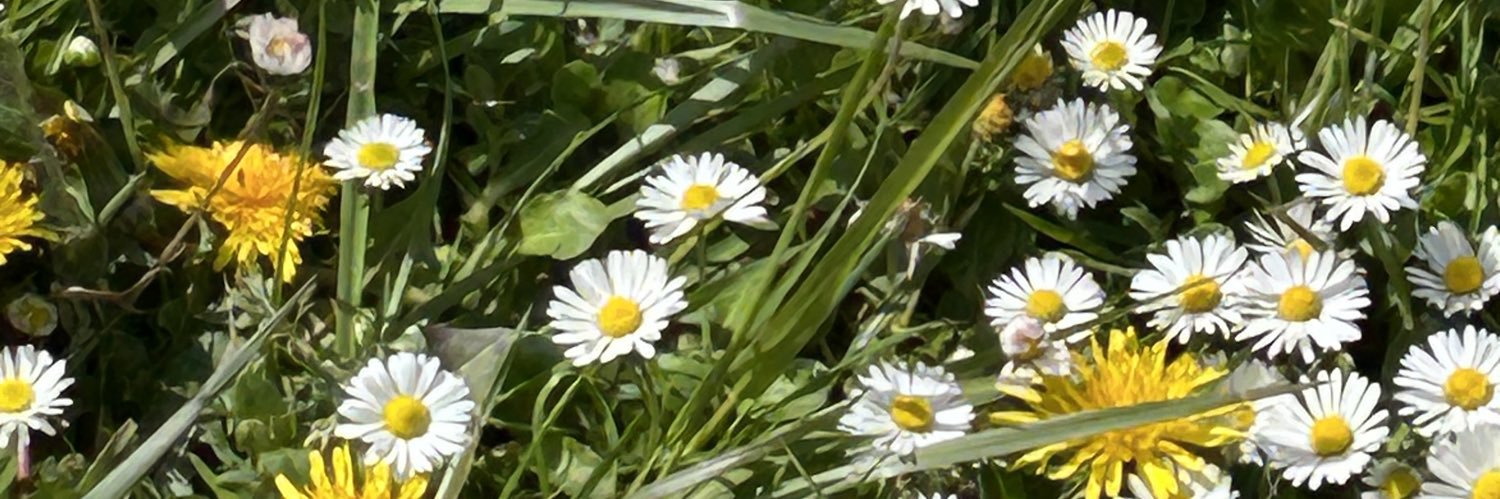 didi_madison's profile banner image