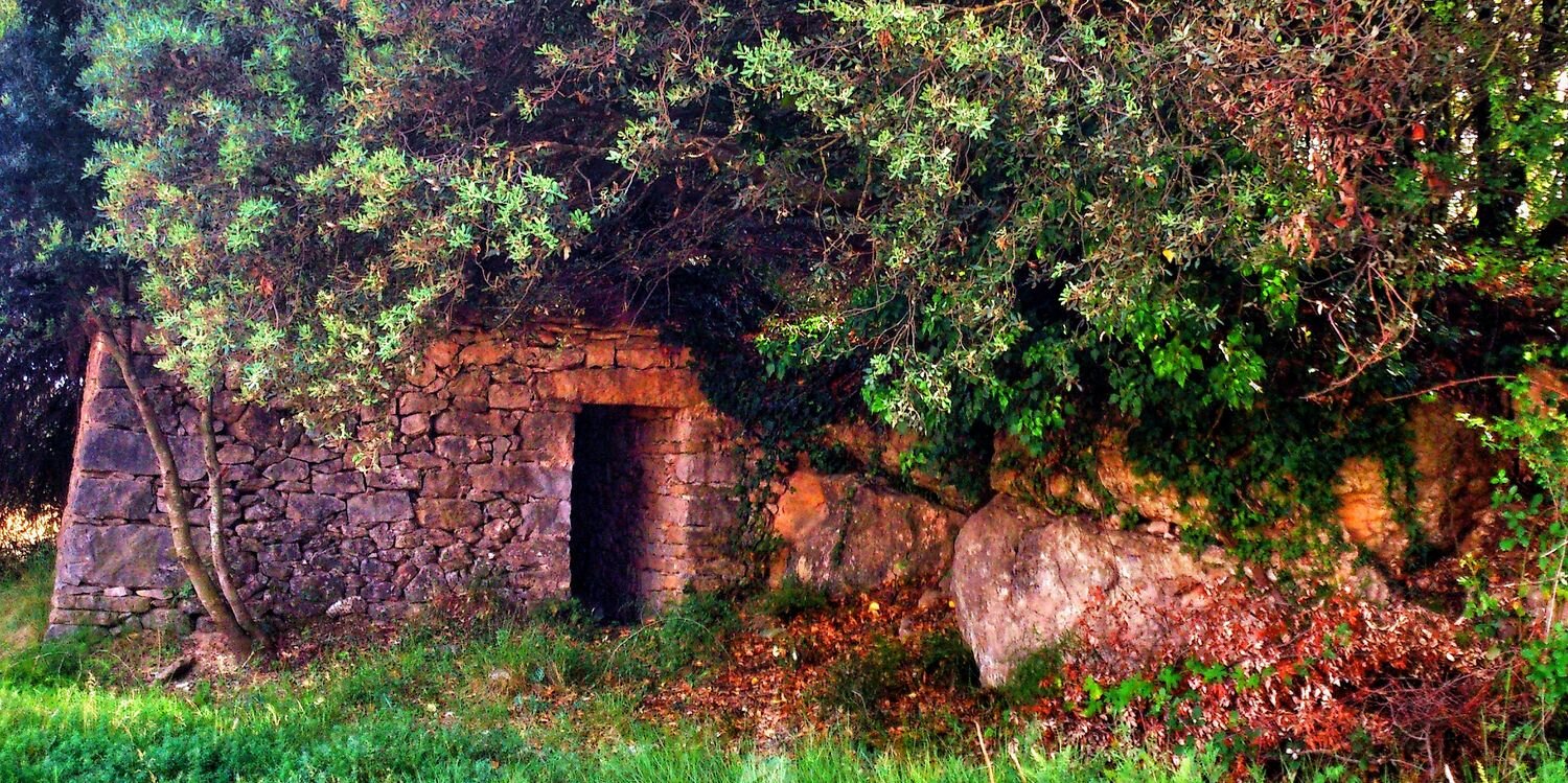 Confraria de Vins del Bages banner
