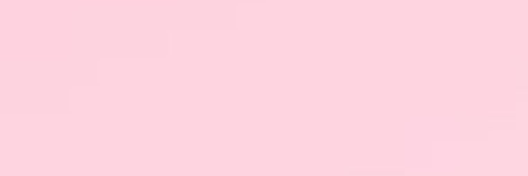 stefh banner