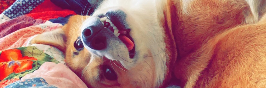lexingtoncowart's profile banner image