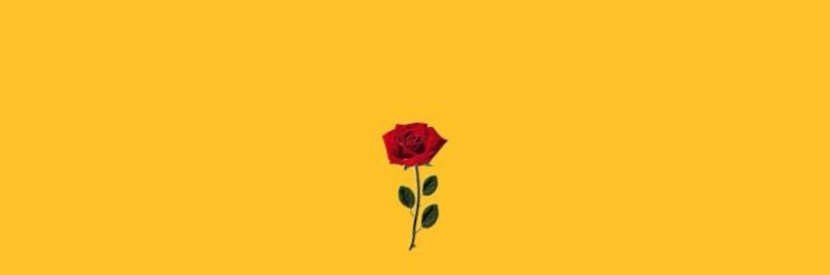 _notoriousCase's profile banner image