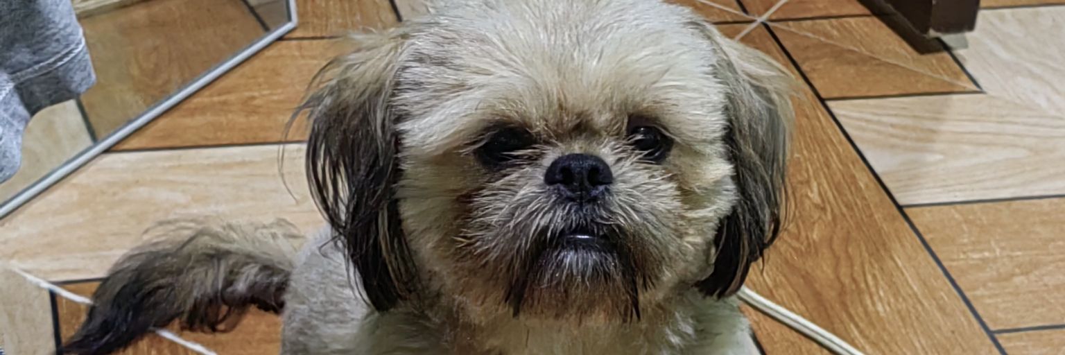 jayseonqt's profile banner image