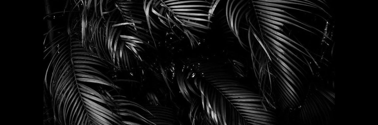 Houseofdmd_'s profile banner image