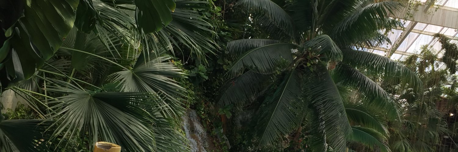 ank_malu's profile banner image