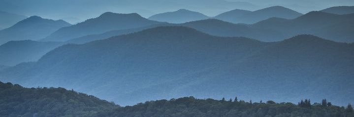 Chirodoc19's profile banner image
