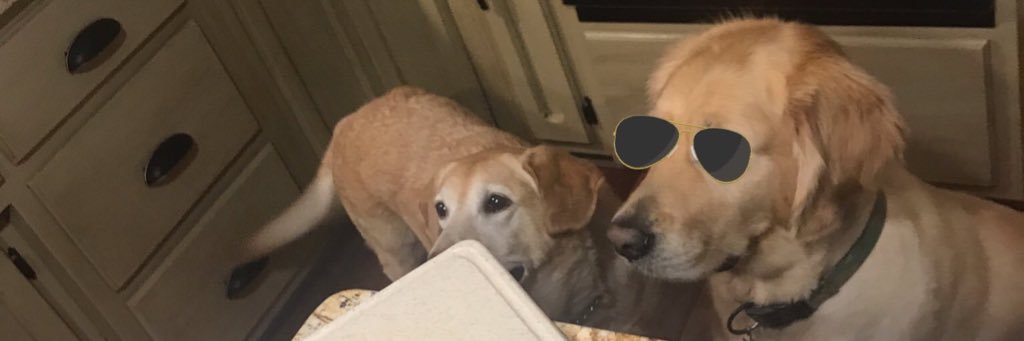 bobertbennett's profile banner image