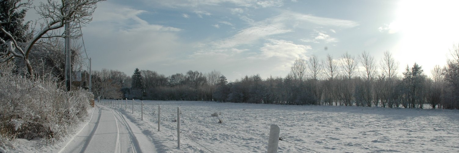 B.W, Européen convaincu. banner