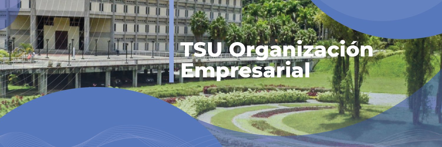 CE Organización Empresarial USB banner
