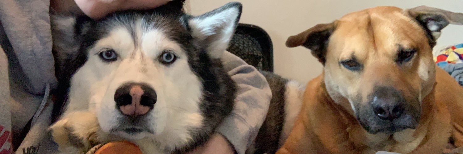 taylor_trashh's profile banner image