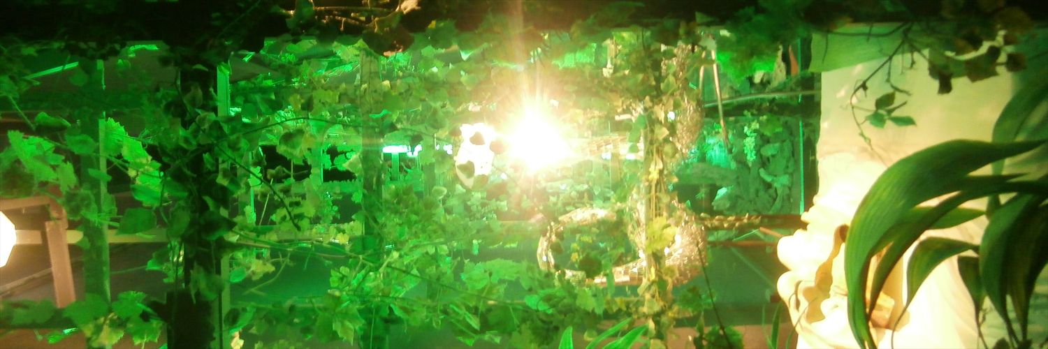 thundertmpk's profile banner image