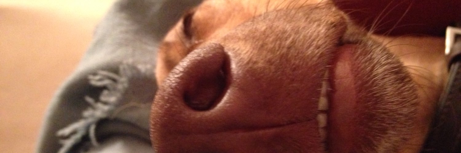 jaelliott24's profile banner image