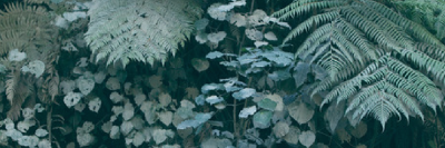 eemachet's profile banner image